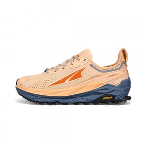 Sapatilhas Trail Running Altra OLYMPUS 5 Masculino Marrom | AL8027T87