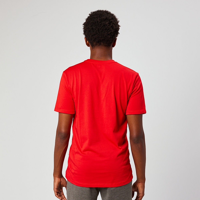 Camiseta Altra EVERYDAY RECYCLED TEE Masculino Vermelhas | AL8109A50