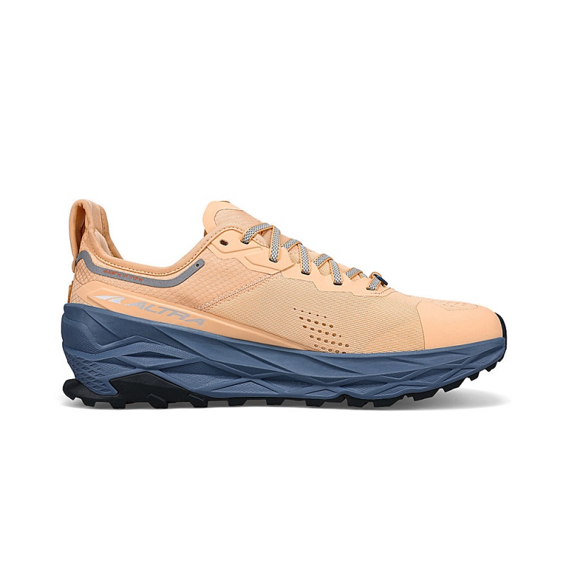 Sapatilhas Trail Running Altra OLYMPUS 5 Masculino Marrom | AL8027T87